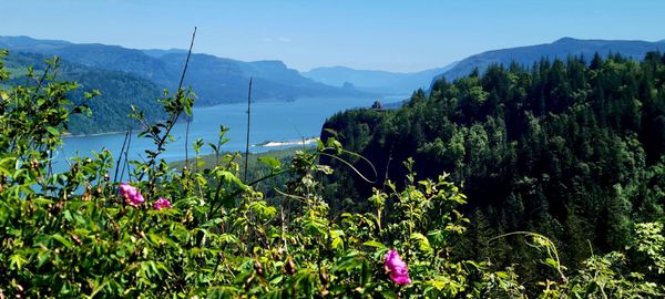 Portland Women's Forum State Scenic Viewpoint by null