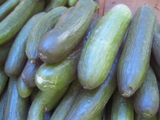 Tompkins Square Park Greenmarket by null