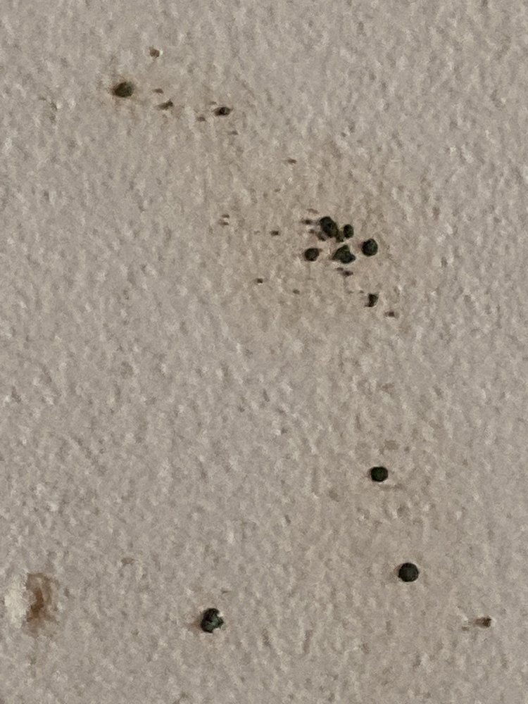 Slide of Fair And Square Roofing