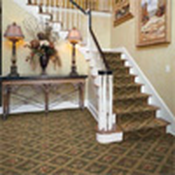Bella - Carpet Cleaning Near Me - Westchester, Illinois Bella - Carpet Cleaning Near Me - Westchester, Illinois