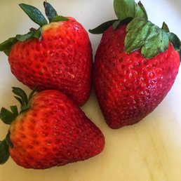 Big and juicy strawberries! I got the 3 baskets for $10.00. Big and juicy strawberries! I got the 3 baskets for $10.00.