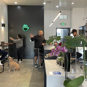 Kaizen & Coffee - Coffee & Tea Near Me - San Mateo, California Kaizen & Coffee - Coffee & Tea Near Me - San Mateo, California