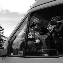 Celtic Motors