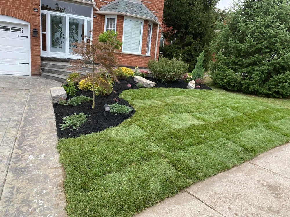 MR.TRIM PRUNING AND LANDSCAPING SERVICES 40 Photos 55 Pomeroy Street, Bowmanville, Ontario
