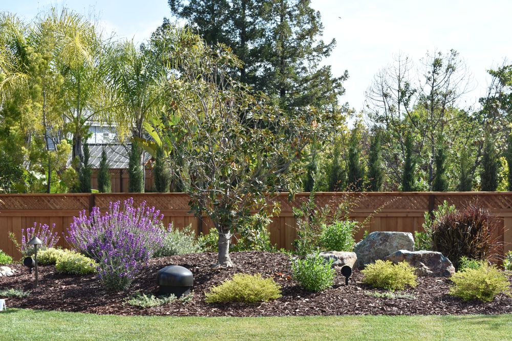 GRIMES NATURAL LANDSCAPE 49 Photos Los Altos Hills, California