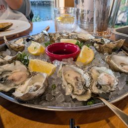 Oysters