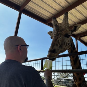 Franklin Drive Thru Safari - Petting Zoos Near Me - Franklin, Texas Franklin Drive Thru Safari - Petting Zoos Near Me - Franklin, Texas