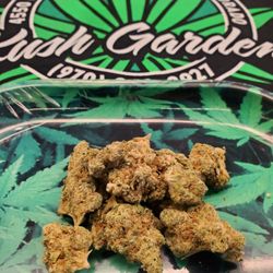Kush Gardens - BUD