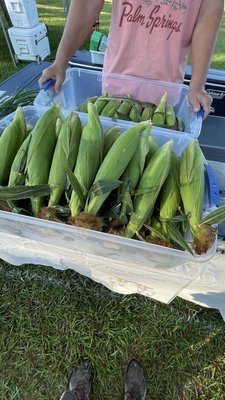 Tallahassee Farmers' Market by null