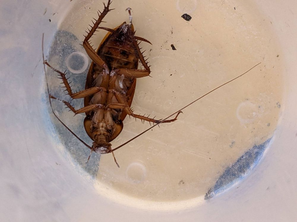 Thrive Tempe - property management company in Tempe, AZ