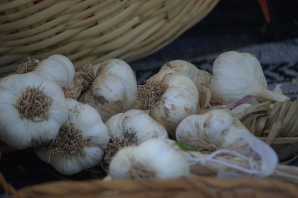 Downtown Growers' Market by null