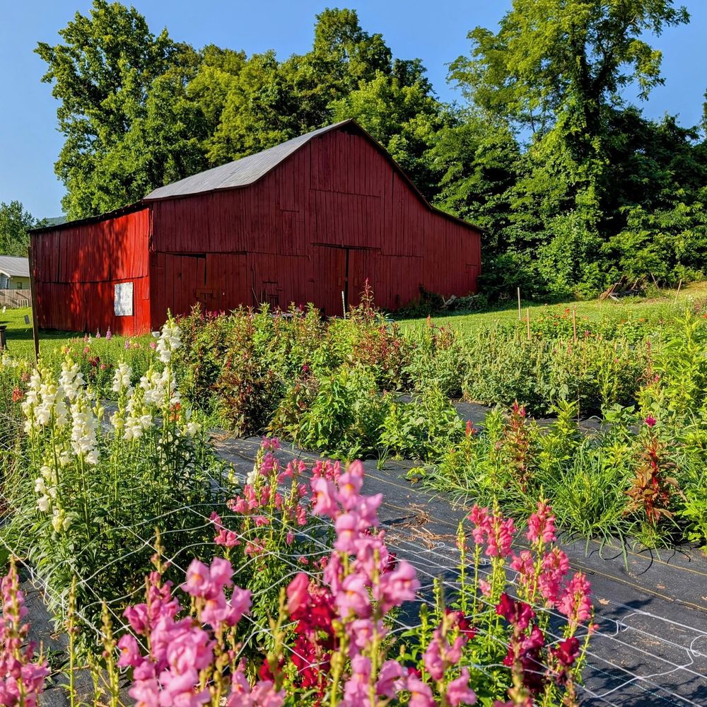 TOP 10 BEST Farming Equipment near Marion, VA 24354 - Updated 2025