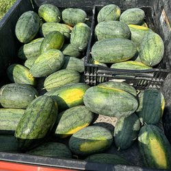 Cold Frame Farm - Store is OPEN Fridays and Saturdays 10am-3pm. Melons are in!! They are the sweetest melons you will ever taste!
