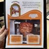 El Camino Real gift card