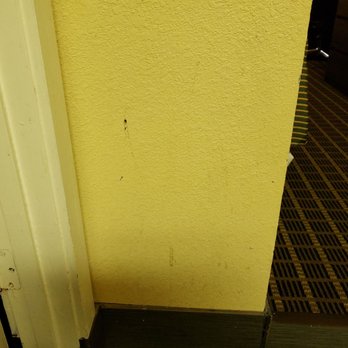 Ramada by Wyndham Flagstaff East - NASTY! Don't touch the walls and DON'T take off your shoes.  Wall's and floors have debris on them. - Hotels Near Me - Flagstaff, Arizona