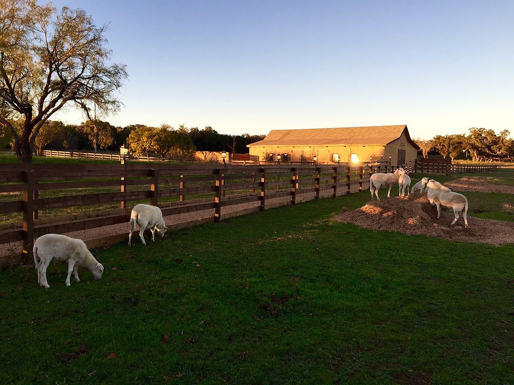 Slide of Austin Roofing and Construction