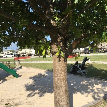 Cowtown R V Park - View from play area - RV Parks Near Me - Aledo, Texas Cowtown R V Park - View from play area - RV Parks Near Me - Aledo, Texas