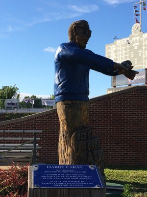 Little Cubs Field by null