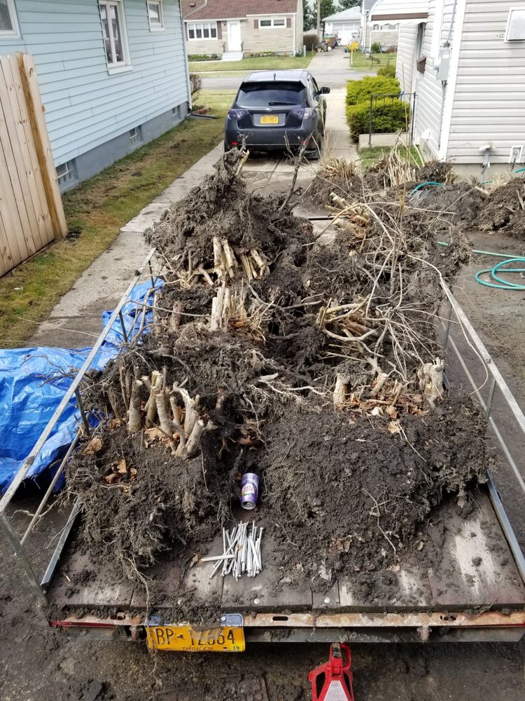 JBD Enterprises - tree service in West Seneca, NY