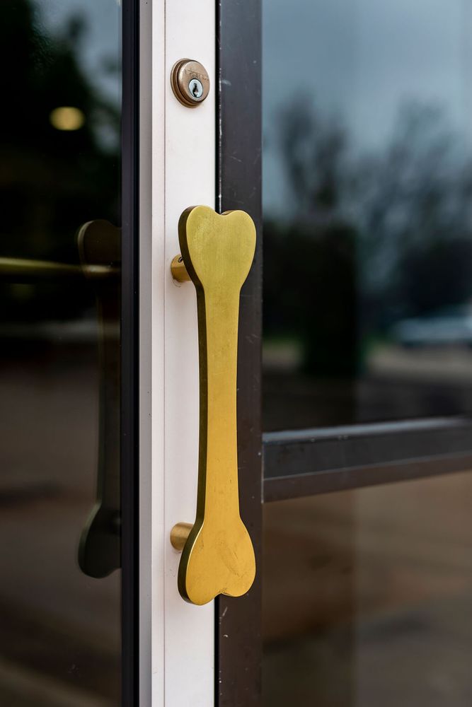 PAWPARAZZI K9 ENRICHMENT RESORT Updated September 2024 88 Photos