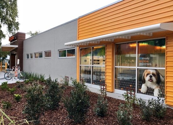 Dogtopia Jacksonville Southbank