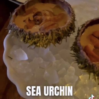 Vin Mon Lapin - Sea Urchin on ice - Wine Bars Near Me - Montreal, Quebec