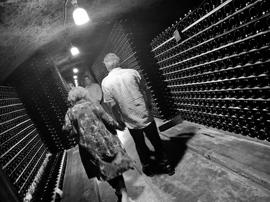 Schramsberg Vineyards by null