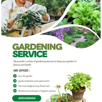 Oviedo's Gardening services - Garden service - Gardeners Near Me Oviedo's Gardening services - Garden service - Gardeners Near Me