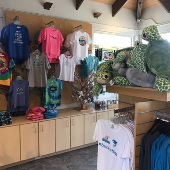 Dolphin Quest - Tours Near Me - Waikoloa, Hawaii