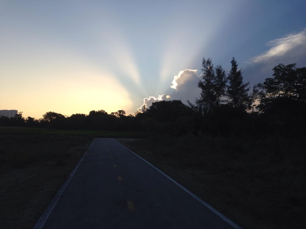 Weiner & Cummings - property tax consultant in Miami, FL