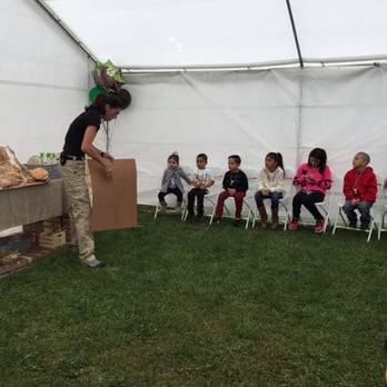 Dino Encounters - Party & Event Planning Near Me Dino Encounters - Party & Event Planning Near Me