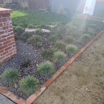 Hats Off Landscaping+ - Before - Landscaping Near Me - Stockton, California Hats Off Landscaping+ - Before - Landscaping Near Me - Stockton, California