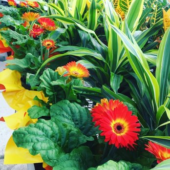 Pemberton Farms - Nurseries & Gardening Near Me - Cambridge, Massachusetts