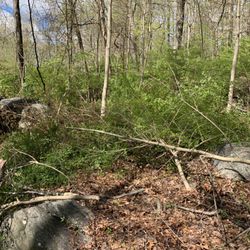 Stony Hill Landscaping