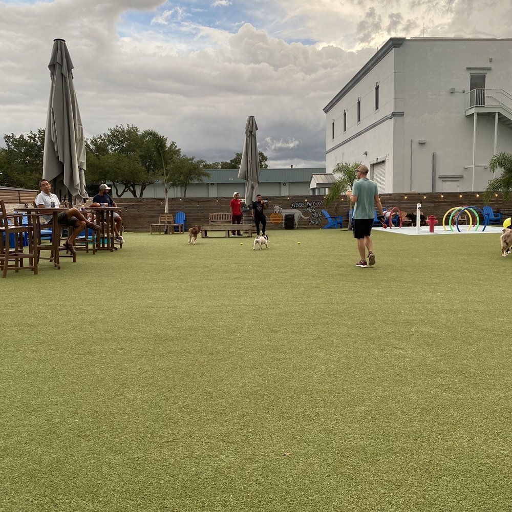 Two Shepherds Taproom - Bars Near Me - Tampa, Florida Two Shepherds Taproom - Bars Near Me - Tampa, Florida
