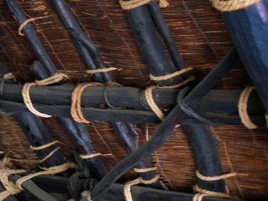 Overseas Adventure Travel by null