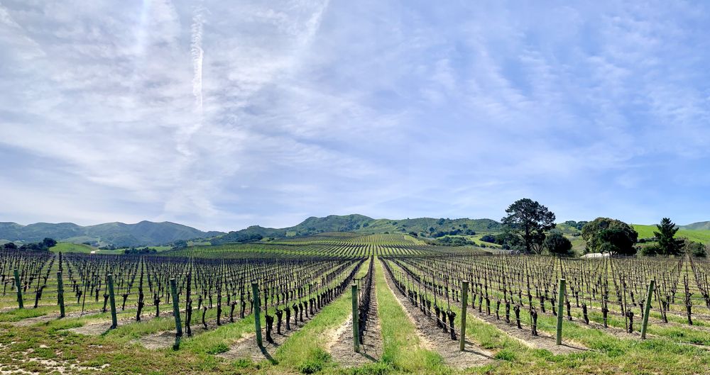 Santa Barbara Wine Events Logo