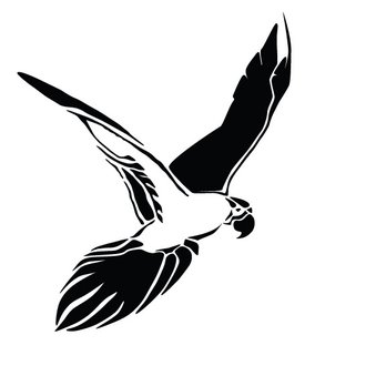 The Trolley By CDLempanadas - Pedro is our 55 yo Amazonian bird on our logo. - Empanadas Near Me The Trolley By CDLempanadas - Pedro is our 55 yo Amazonian bird on our logo. - Empanadas Near Me