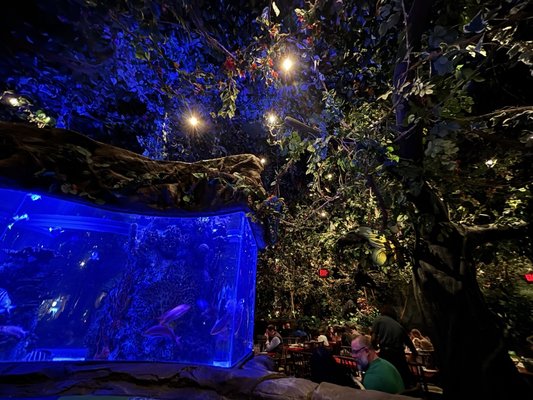 Rainforest Cafe by null