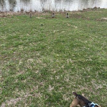 Gainesway Park - Ducks - Parks Near Me - Lexington, Kentucky Gainesway Park - Ducks - Parks Near Me - Lexington, Kentucky