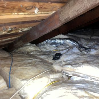 Attic Pros - Pest Control Near Me - Oakland, California