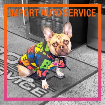 Import Auto Service - Import Auto Service's mascot - Auto Repair Near Me - Santee, California