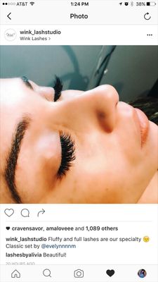 Wink Lashes by null