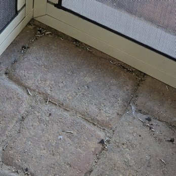 Proficient Patios & Backyard Designs - Debris left after they had completed the job. There was zero clean-up at all. We've never had a contractor not clean up after a project. - Patio Coverings Near Me - Las Vegas, Nevada Proficient Patios & Backyard Designs - Debris left after they had completed the job. There was zero clean-up at all. We've never had a contractor not clean up after a project. - Patio Coverings Near Me - Las Vegas, Nevada