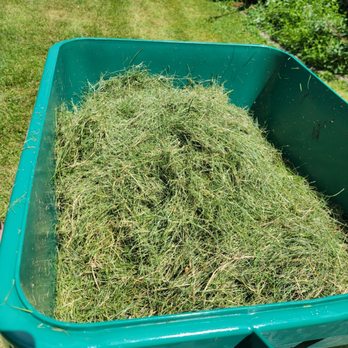 Overgrown Lawn Care & Clean-Up - Landscaping Near Me Overgrown Lawn Care & Clean-Up - Landscaping Near Me