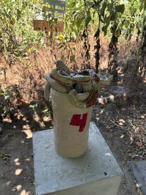 Huerta Del Valle by null