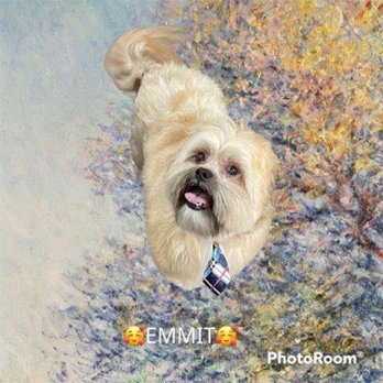 Primp Your Pup Grooming - Dog - Pet Groomers Near Me - Ladson, South Carolina Primp Your Pup Grooming - Dog - Pet Groomers Near Me - Ladson, South Carolina