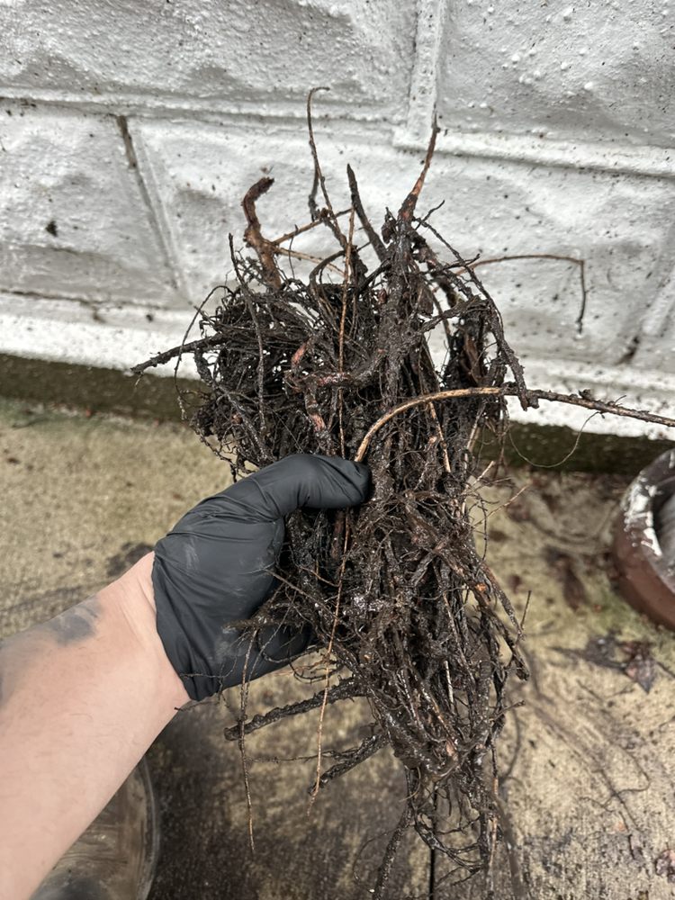 Slide of Midwest Sewer and Drain