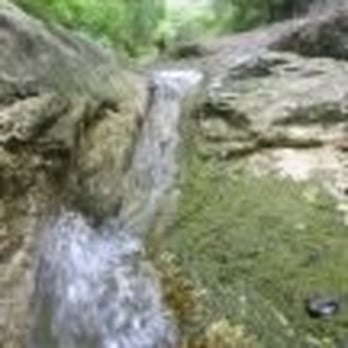 Blunn Creek Greenbelt - Hiking Near Me - Austin, Texas Blunn Creek Greenbelt - Hiking Near Me - Austin, Texas