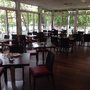 Photo of El Bosque